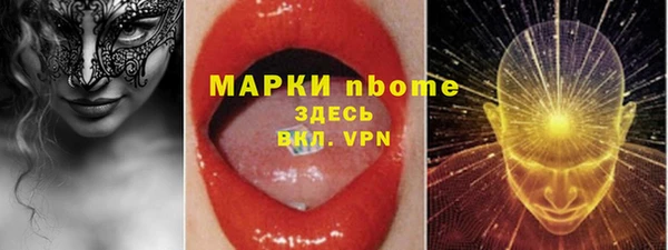 a pvp Бородино
