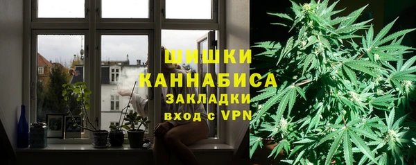 кокс Богородицк