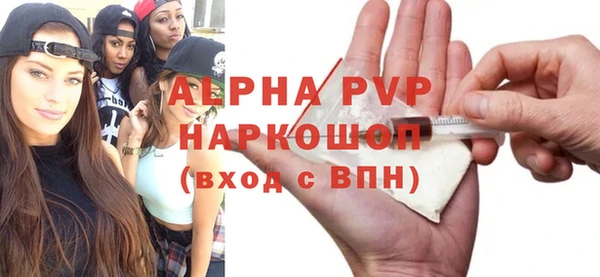 a pvp Бородино